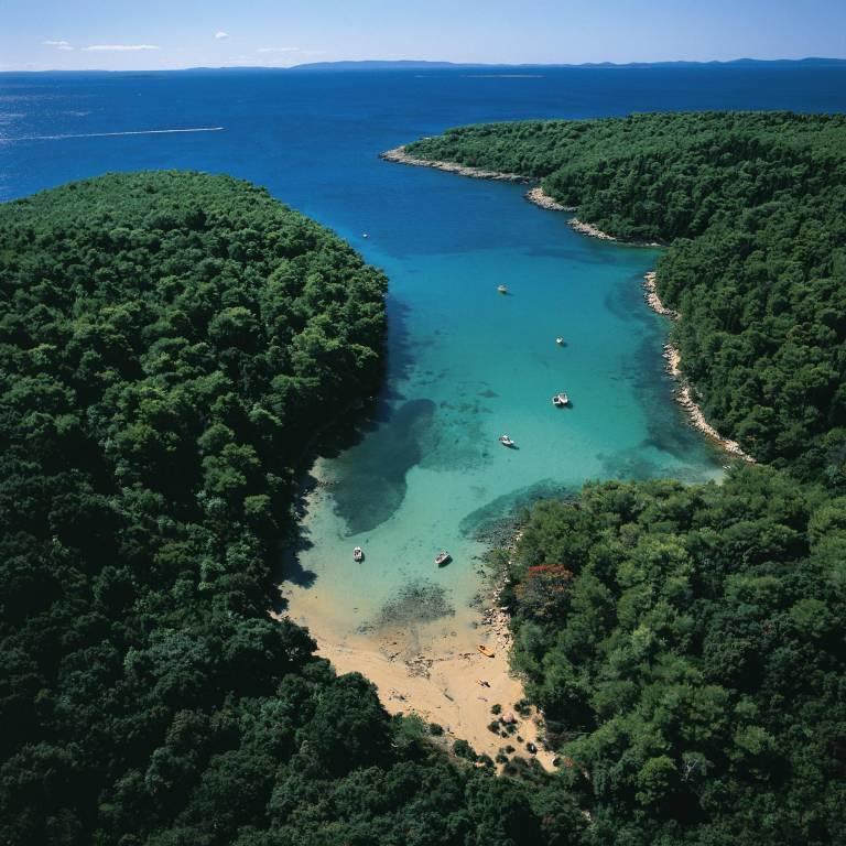 Grbac * Barbat na Rabu